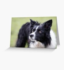 Pointy Ears Greeting Card