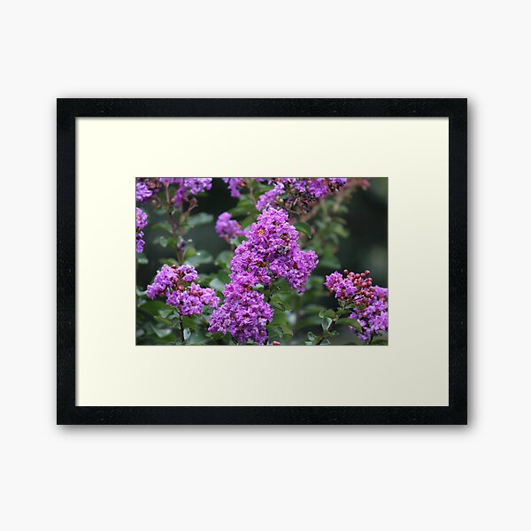 Item preview, Crape Myrtle Tree designed and sold by Sheryl Hopkins.