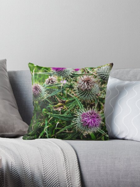 Item preview, Scottish Thistle at the Stacks of Duncansby  designed and sold by kimperrins.