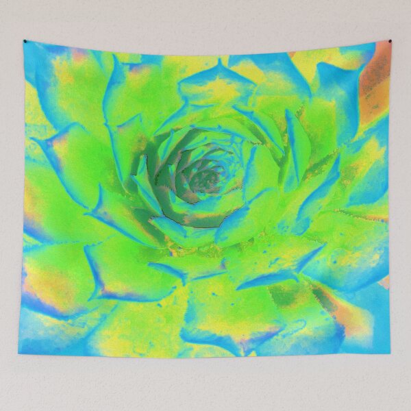 Item preview, Lime Green Aqua Blue Succulent Sedum Rosette designed and sold by myrubiogarden.