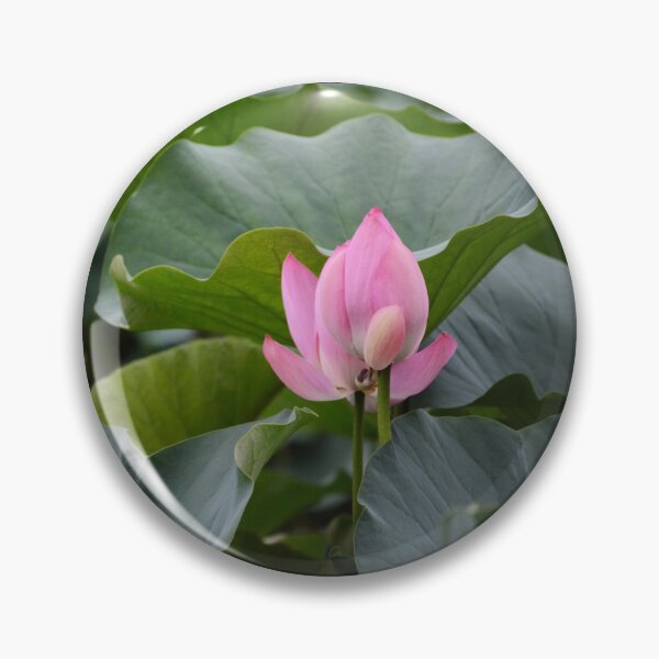 Item preview, Green foliage with a pink flower. redecorate, refurbish, Bird, nature designed and sold by jayne0524.