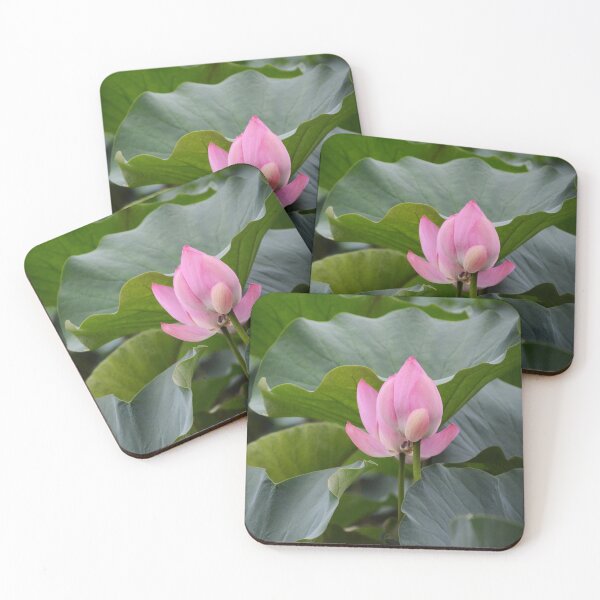 Item preview, Green foliage with a pink flower. redecorate, refurbish, Bird, nature designed and sold by jayne0524.