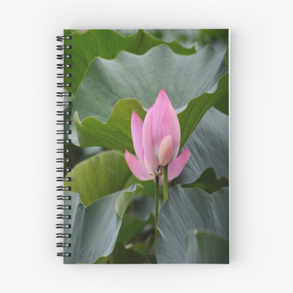 Artikelvorschau, Grünes Laub mit einer rosa Blume. Neu dekorieren, renovieren, Vogel, Natur entworfen und verkauft von jayne0524.