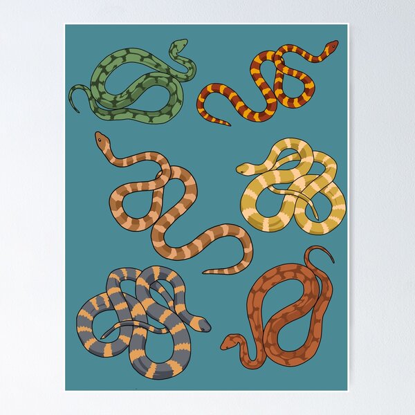 Item preview, Snake Gifts Amphibians Reptiles Herping Gift Herpetology Snake designed and sold by DSWShirts.