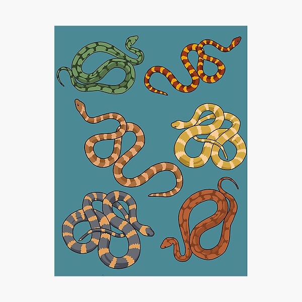 Item preview, Snake Gifts Amphibians Reptiles Herping Gift Herpetology Snake designed and sold by DSWShirts.