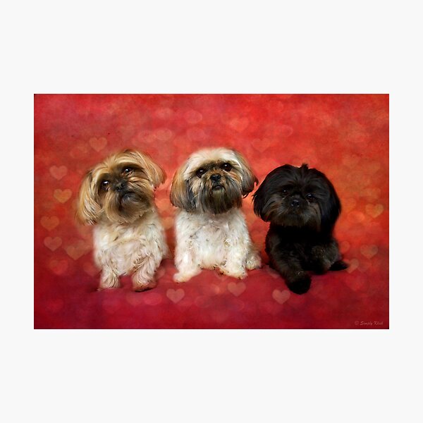 Item preview, Lovely Trio  designed and sold by Nicole  Markmann Nelson.