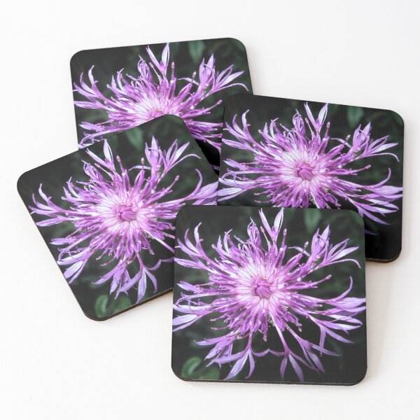 Item preview, Knapweed designed and sold by Sharon Perrett.