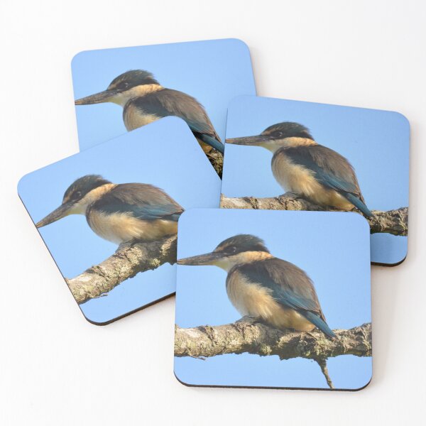 Item preview, Into the Blue- Sacred Kingfisher sitting on a branch- New Zealand Birds designed and sold by lizdomett.