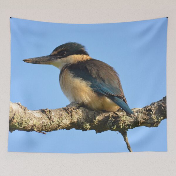 Item preview, Into the Blue- Sacred Kingfisher sitting on a branch- New Zealand Birds designed and sold by lizdomett.