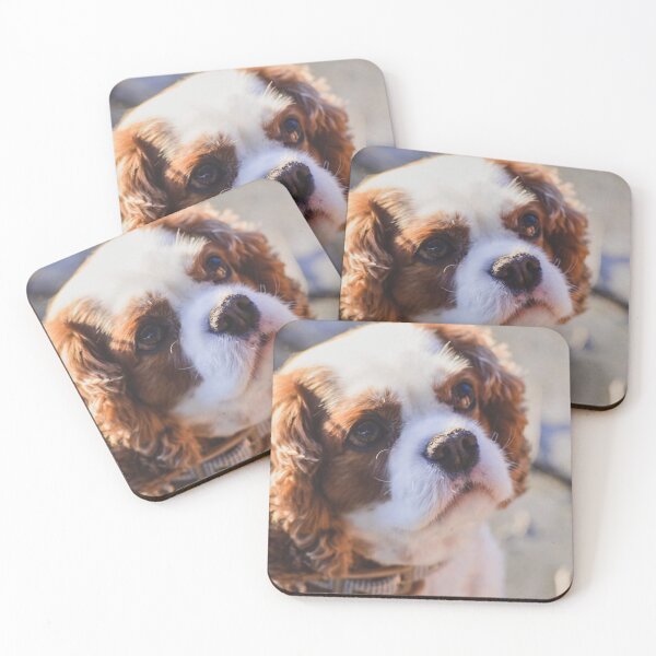 Item preview, Cute Cavalier King Charles Dog Pretty Lighting designed and sold by artskye.