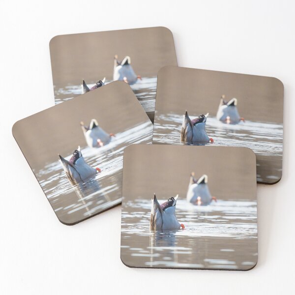 Item preview, Diving Ducks designed and sold by Jesse Barnett.