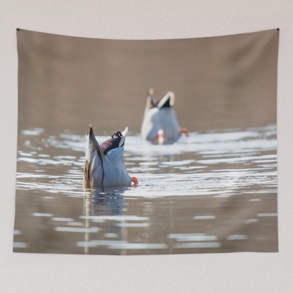Item preview, Diving Ducks designed and sold by Jesse Barnett.