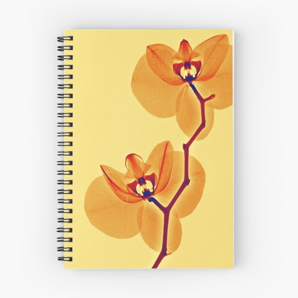 Item preview, Illuminated orchid designed and sold by Lanuma.