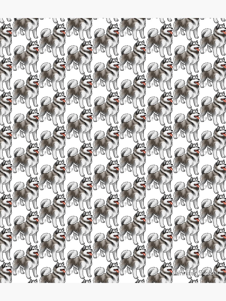 Alaskan Malamute by jameson9101322