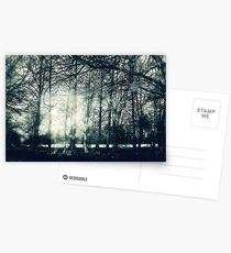 Faerie Wood Postcards