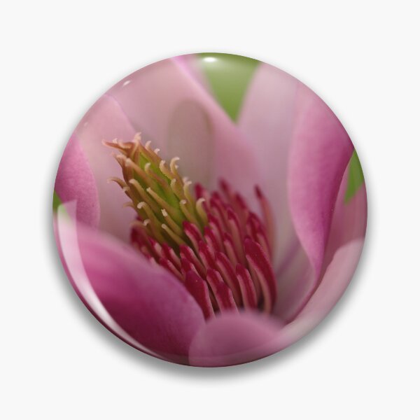 Artikelvorschau, Magnolia macro entworfen und verkauft von kostolany244.