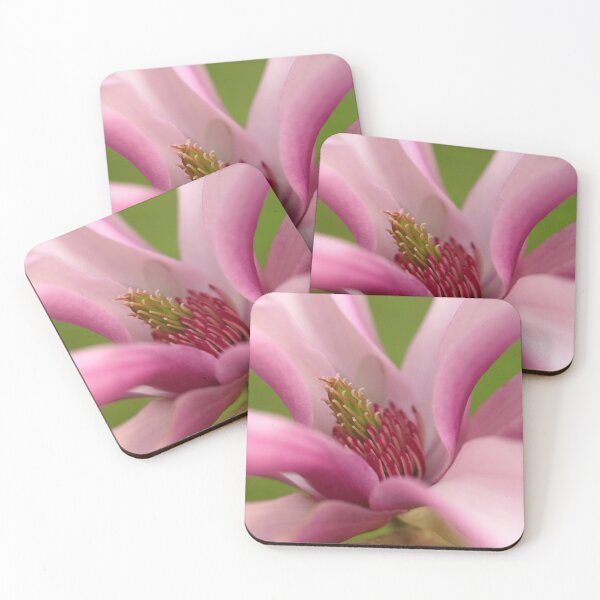 Artikelvorschau, Magnolia macro entworfen und verkauft von kostolany244.