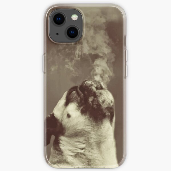 break of dawn iPhone Soft Case