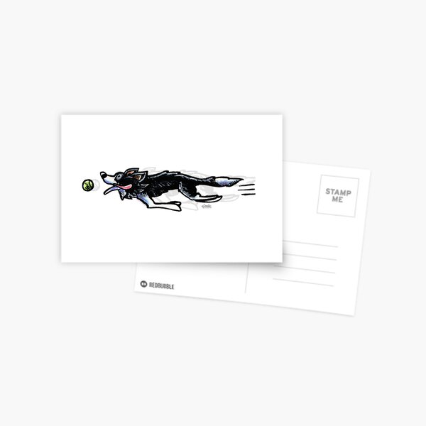 Border Collie in Action Postcard