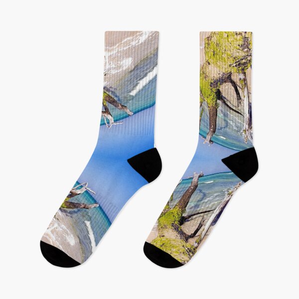 Item preview, tree trunks on the seashore reaching out to the blue sky, surreal specular view designed and sold by Flavio Vieri.
