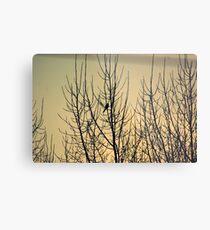 Hello, sweetie. Metal Print
