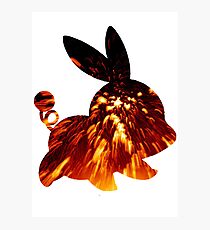 Tepig used Incinerate Photographic Print