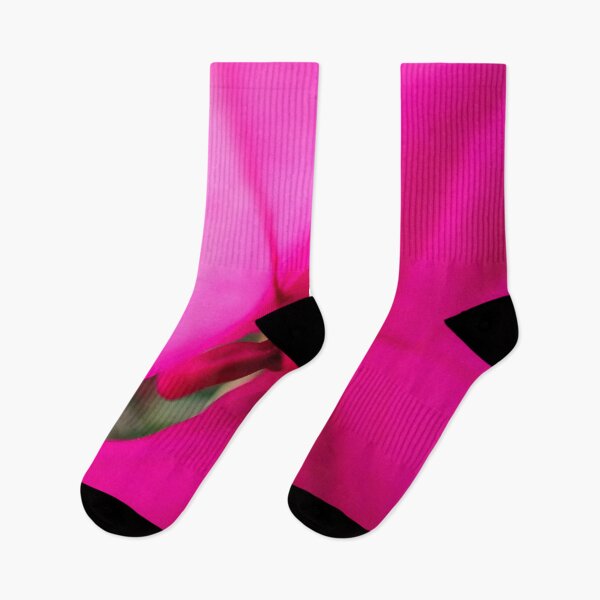 Item preview, Pink Bloom designed and sold by Allen Penton.
