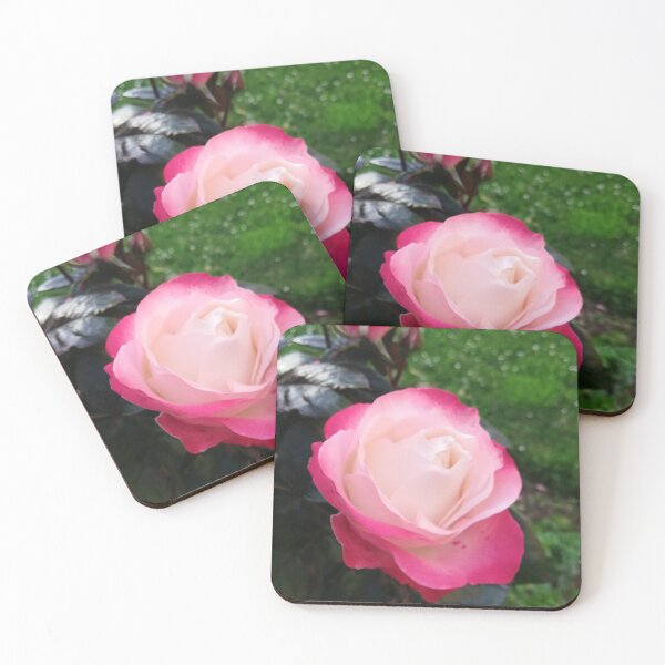 Item preview, Red and white rose photo  designed and sold by esvb.