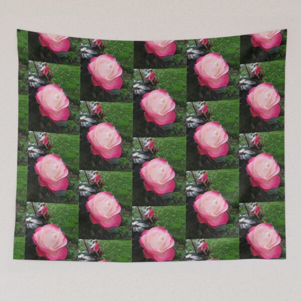 Item preview, Red and white rose photo  designed and sold by esvb.