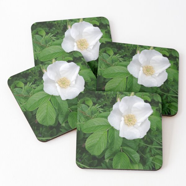 Item preview, White wild rose designed and sold by esvb.