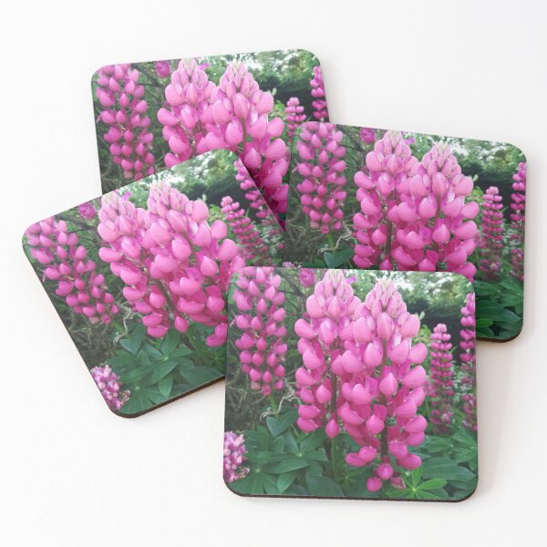 Item preview, Pink lupins photograph designed and sold by esvb.