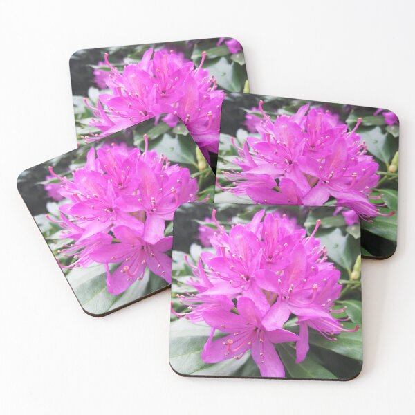 Item preview, Pink purple rhododendron flower photograph designed and sold by esvb.