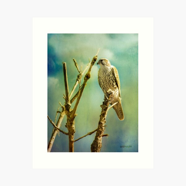 Watcher of the World Art Print