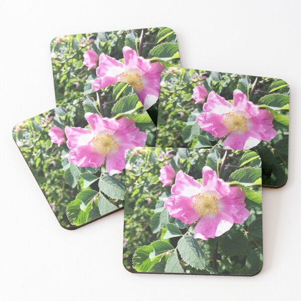 Item preview, Pink wild rose photograph designed and sold by esvb.