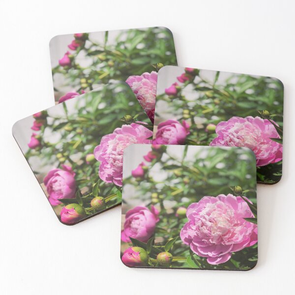 front door flowers Coasters (Set of 4)
