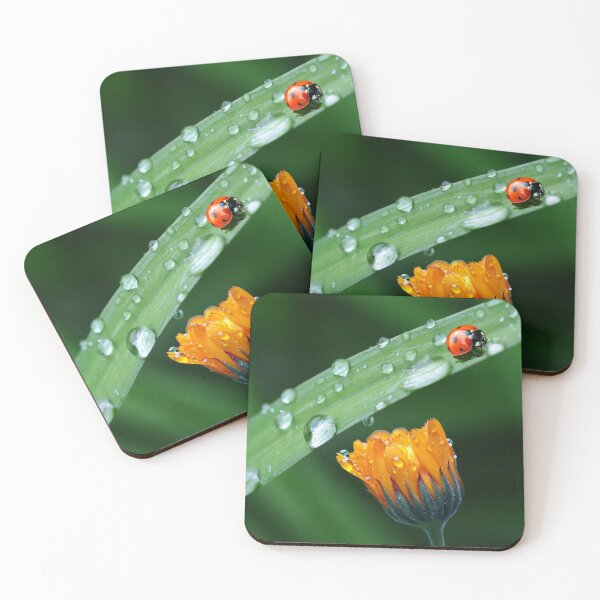 Item preview, Green leaf with a flower and ladybug. redecorate, refurbish, Bird, nature designed and sold by jayne0524.