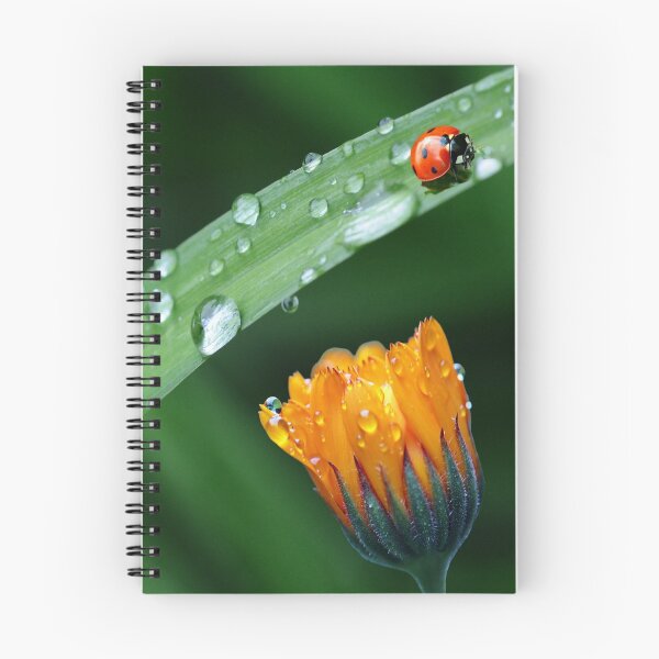 Item preview, Green leaf with a flower and ladybug. redecorate, refurbish, Bird, nature designed and sold by jayne0524.