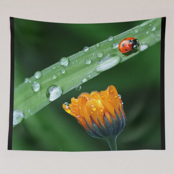 Item preview, Green leaf with a flower and ladybug. redecorate, refurbish, Bird, nature designed and sold by jayne0524.