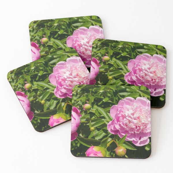 Item preview, pretty in pink designed and sold by TeresaYoung9.