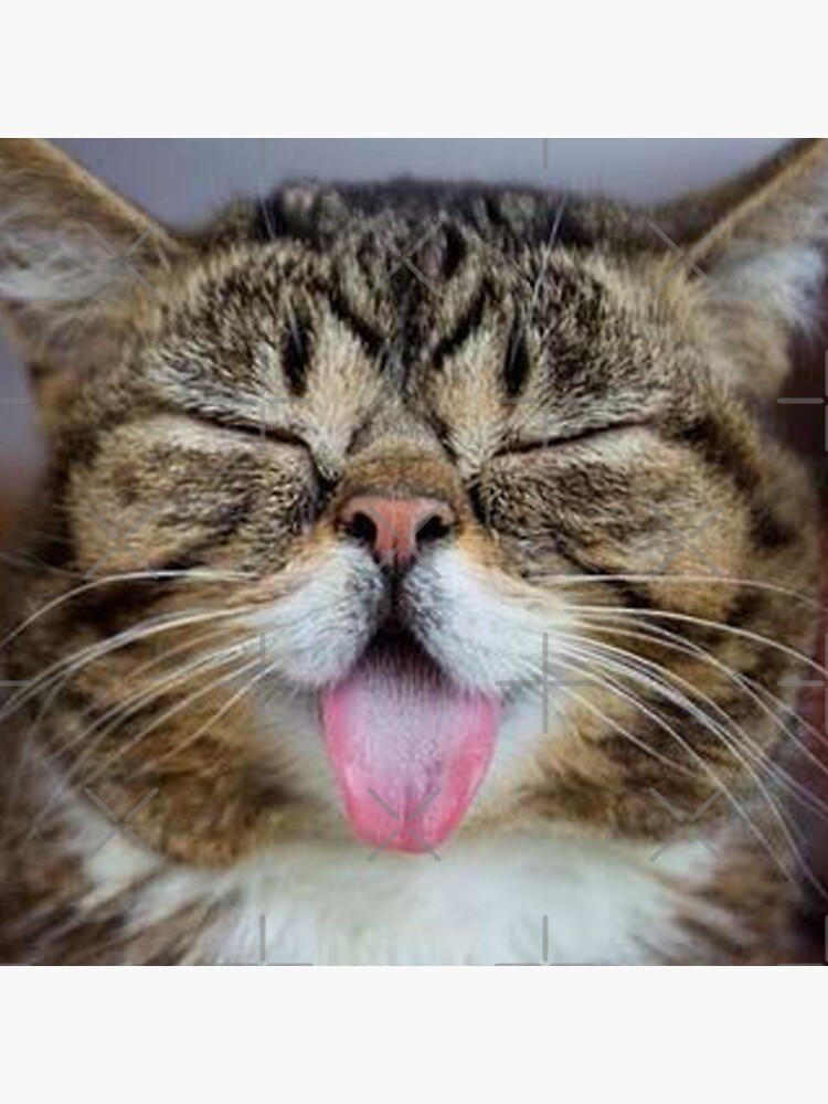 Cats tongue filiform papillae face mask hook spiny cats mouth barbs fangs  teeth | Sticker