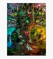 The Dreaming Tree Photographic Print