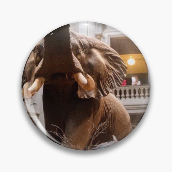 Item preview, Stuffed Elephant at the Smithsonian designed and sold by Gordon Nelson.