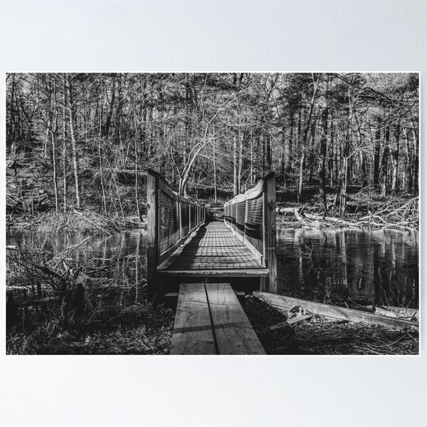 Item preview, Rocky Woods Bridge in Black and White designed and sold by Jesse Barnett.