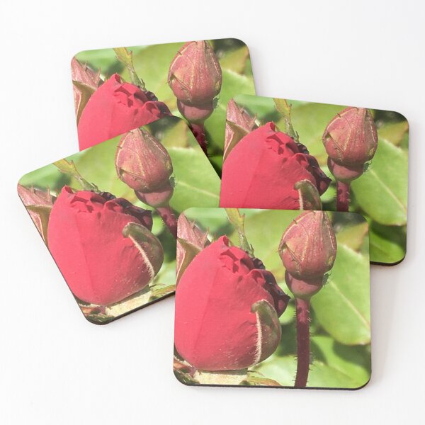 Item preview, Rose buds 1 designed and sold by KimSyOk.