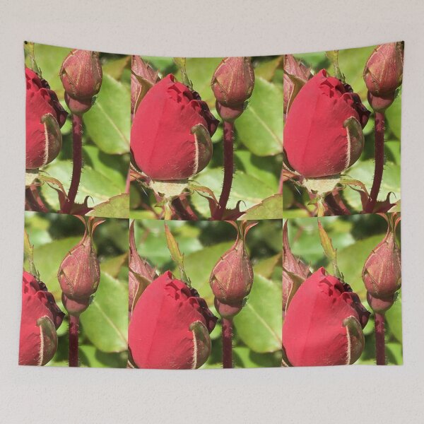 Item preview, Rose buds 1 designed and sold by KimSyOk.