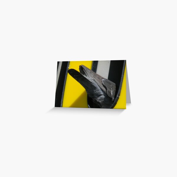 Item preview, Pigeon Rejection designed and sold by Navigator.