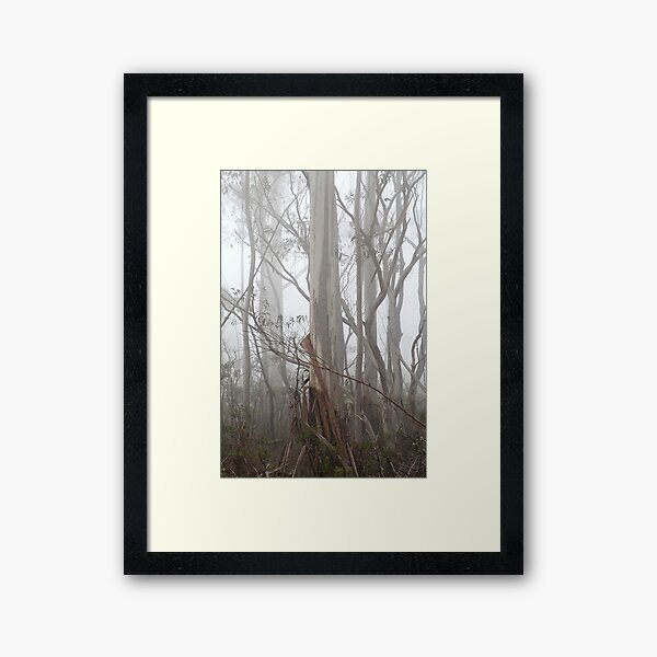 Item preview, Misty Gums designed and sold by Geoff Smith.