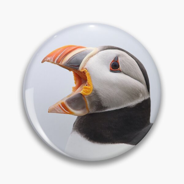Item preview, Loudmouth Puffin designed and sold by mlorenz.