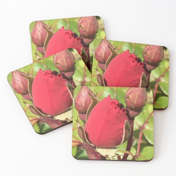 Item preview, Rose Buds 2 designed and sold by KimSyOk.