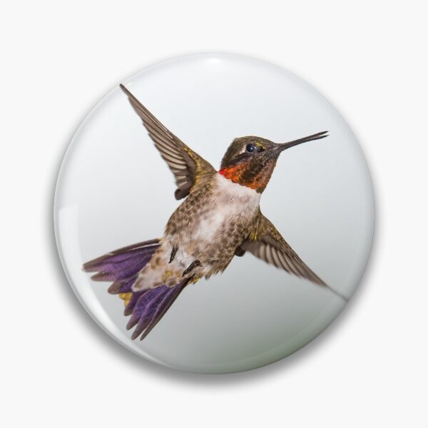 Item preview, Hummingbird in flight designed and sold by Jesse Barnett.